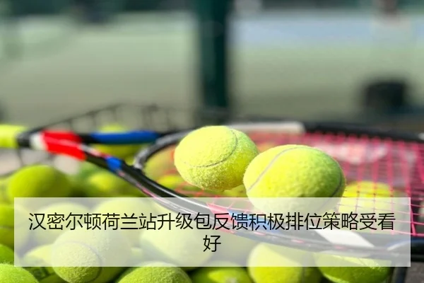 汉密尔顿荷兰站升级包反馈积极排位策略受看好