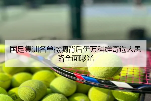 国足集训名单微调背后伊万科维奇选人思路全面曝光